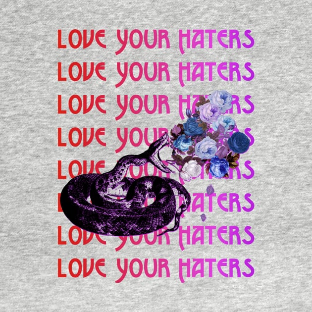 Love Your Haters by hardcore repertoire